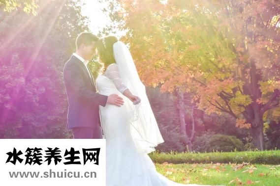 狗流淚是怎么回事