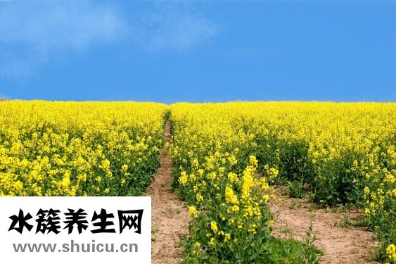 孩子汗多怎么回事