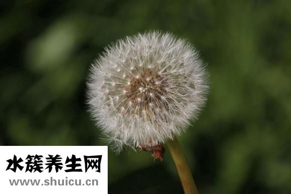 應該怎么對待婆婆