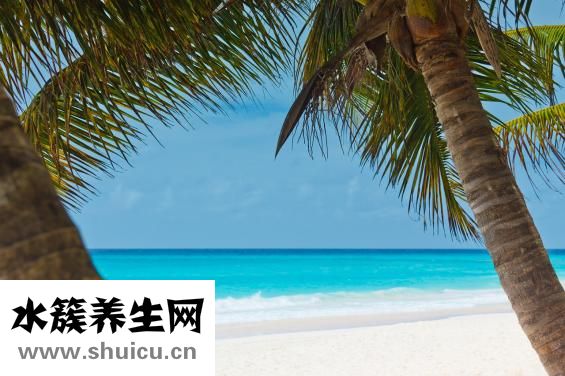 黃斑區病變怎么辦