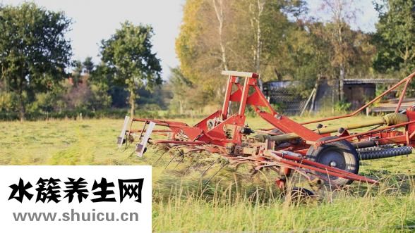 肚子腸鳴怎么回事