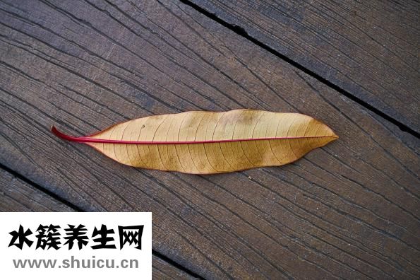 褐色的痣怎么去除