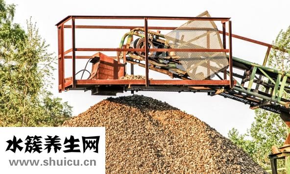 肚子腸鳴怎么回事