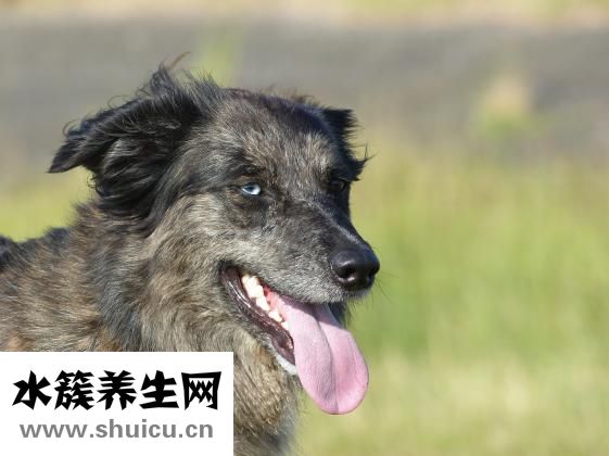 嬰兒揉眼睛怎么回事