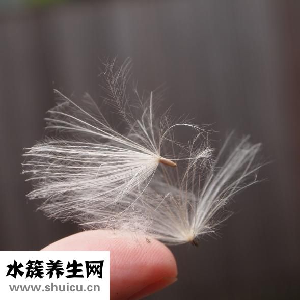 手比臉白怎么辦