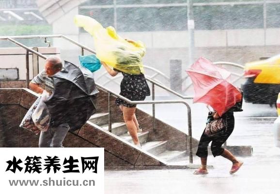 臺風的日記怎么寫