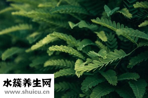 指甲切掉一半怎么辦