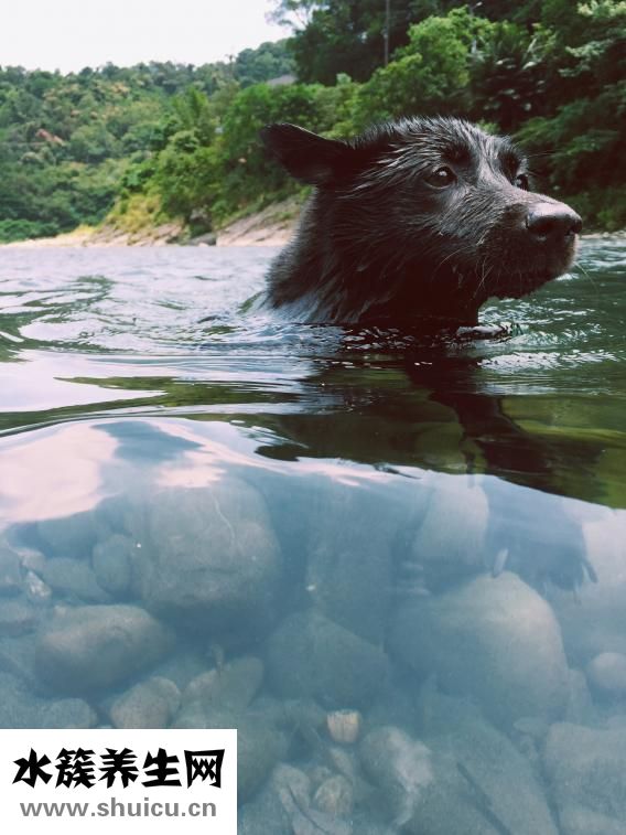 衣服長黑點怎么洗