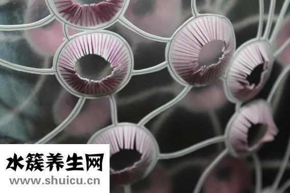 小孩和小黑怎么了