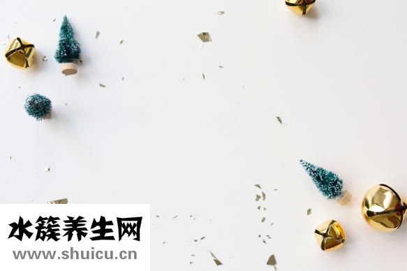 金針菇怎么給寶寶吃