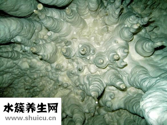 石灰病怎么治療