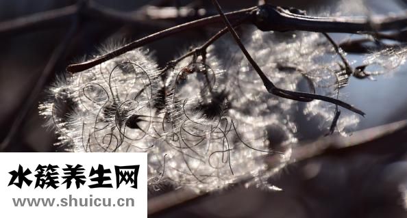 大拇指抽搐怎么回事