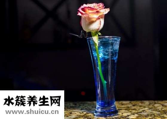 提取物怎么發(fā)貨