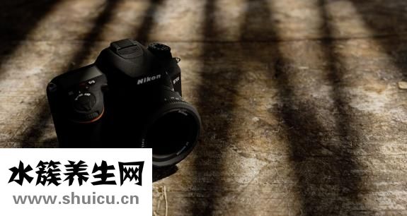 金針菇怎么給寶寶吃