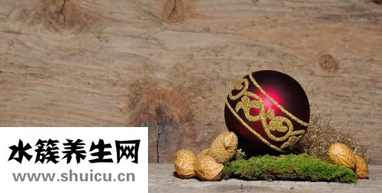 豆漿機怎么榨花生