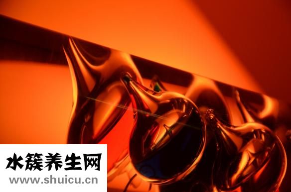 黑金剛怎么繁殖