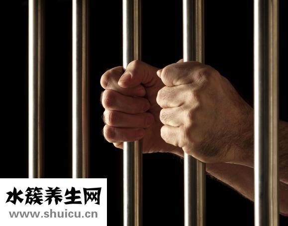 霍香葉怎么吃法