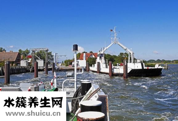 毛毛球該怎么清洗