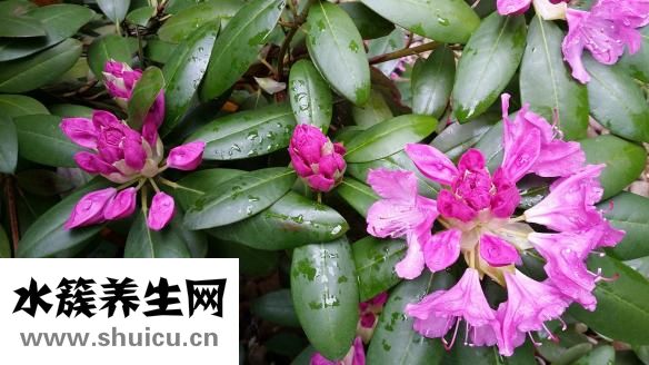 左腳心麻是怎么回事