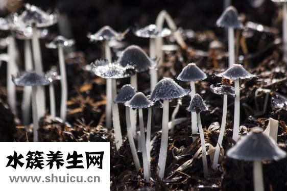 神經受刺激怎么辦