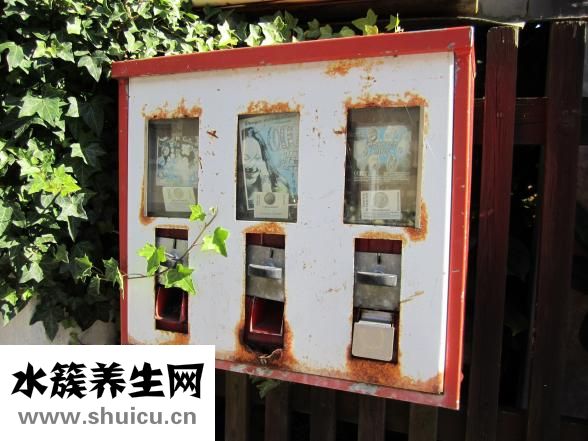 一口盅怎么泡水