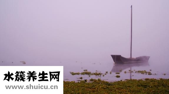 表里有水霧怎么辦