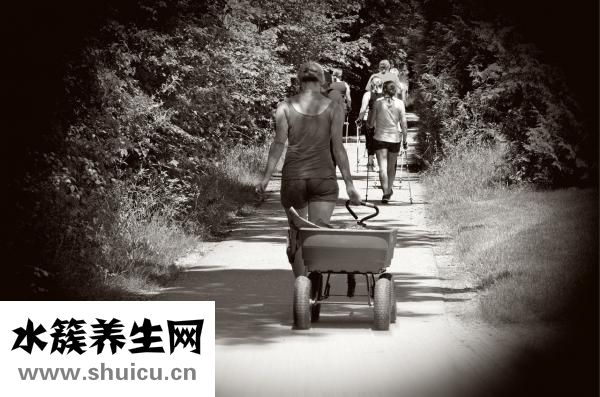 狗狗懷孕了怎么辦