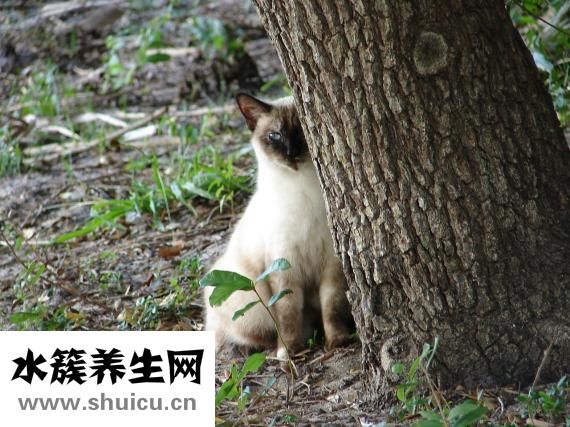 孩子眼睛怕風(fēng)怎么辦