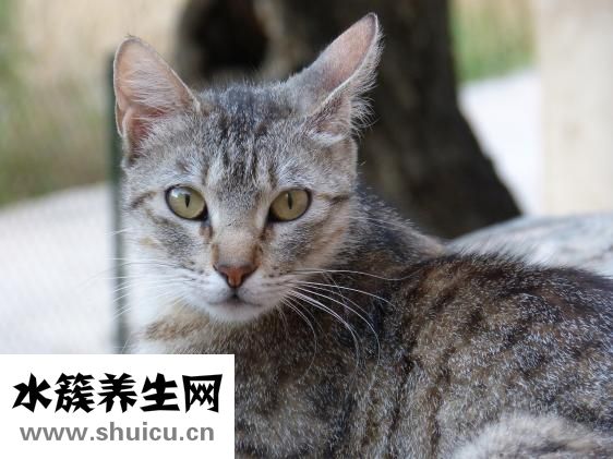 貝兒怎么總眨眼睛