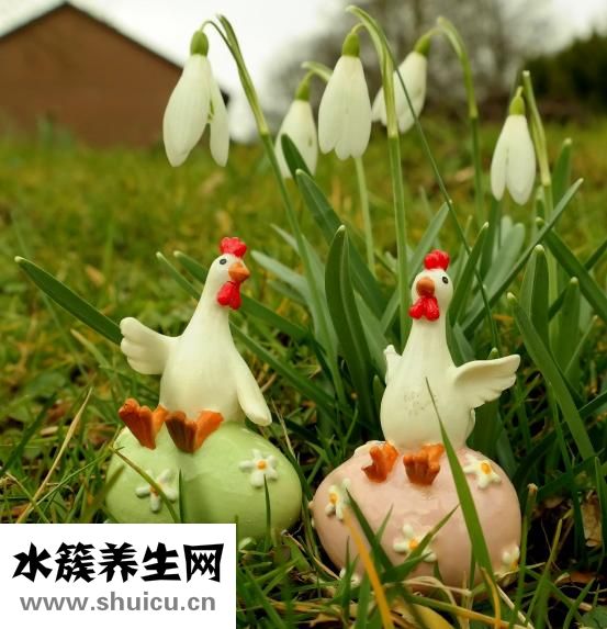 微波爐煮蛋器怎么用