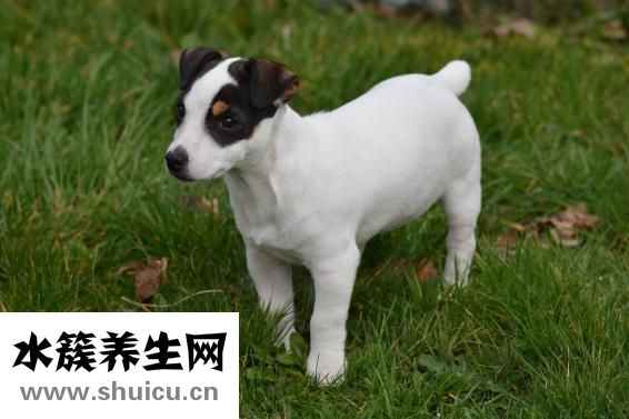 小孩出長氣怎么回事