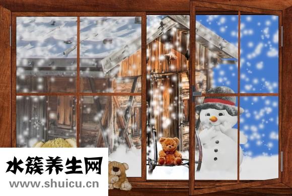 泰迪發燒了怎么辦