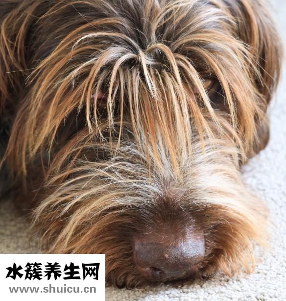 黑人頭五分鐘怎么用