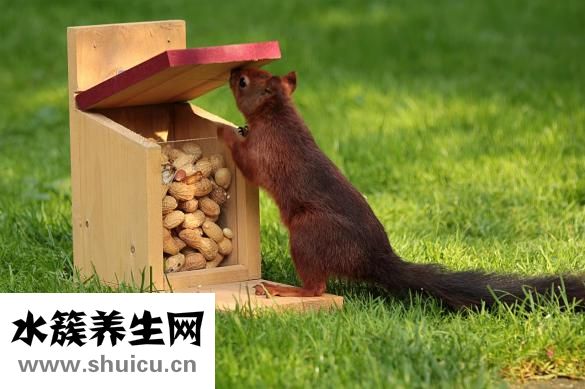 同學們用英語怎么說