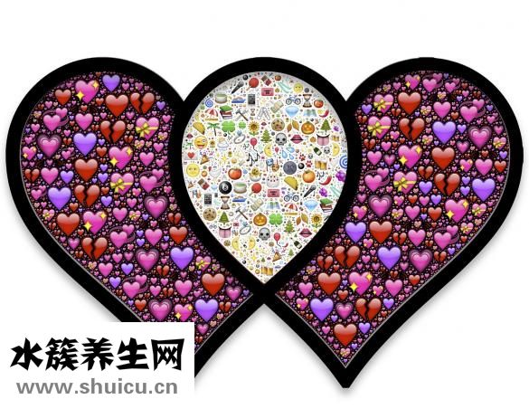 水準(zhǔn)點(diǎn)怎么復(fù)核