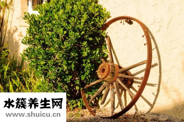 心里焦慮不安怎么辦