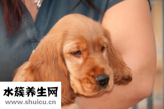 怎么知道劃破食道管