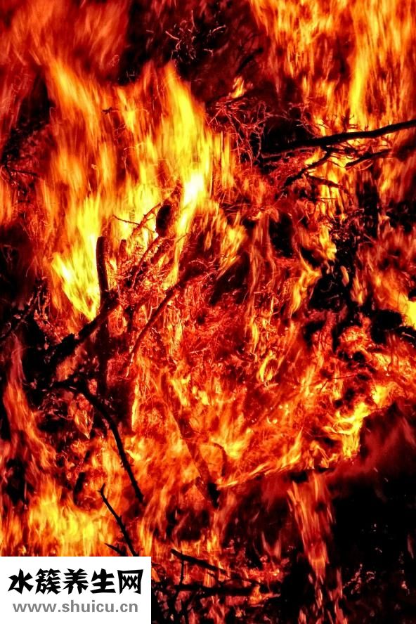 怎么和兔子玩耍