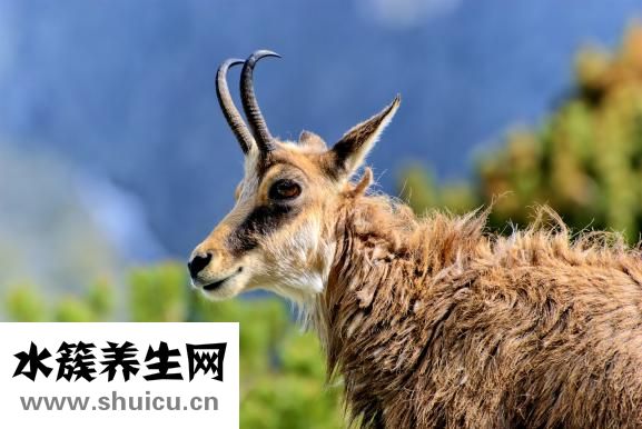 怕冷要怎么補(bǔ)