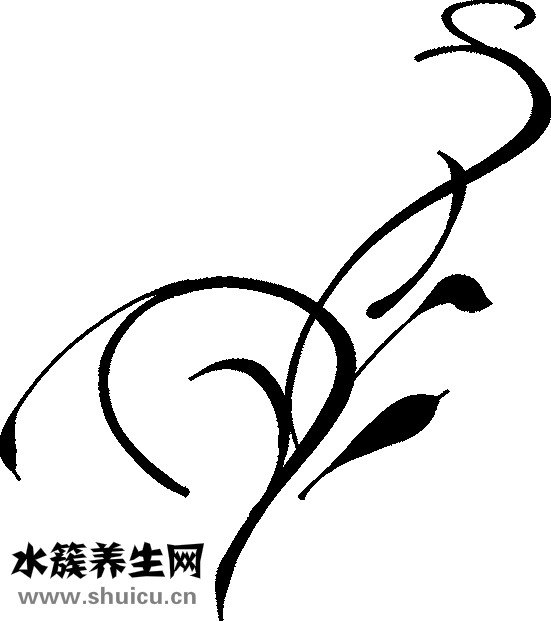 豉油大蝦怎么做