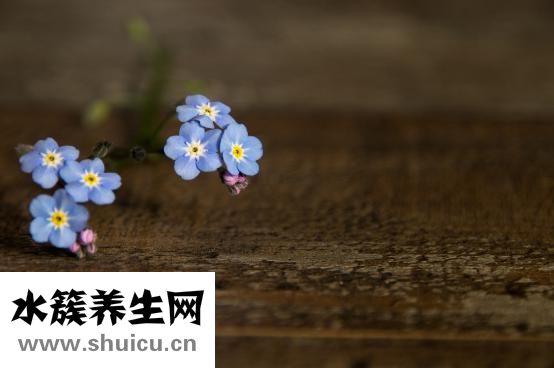 眉毛紋太粗怎么修