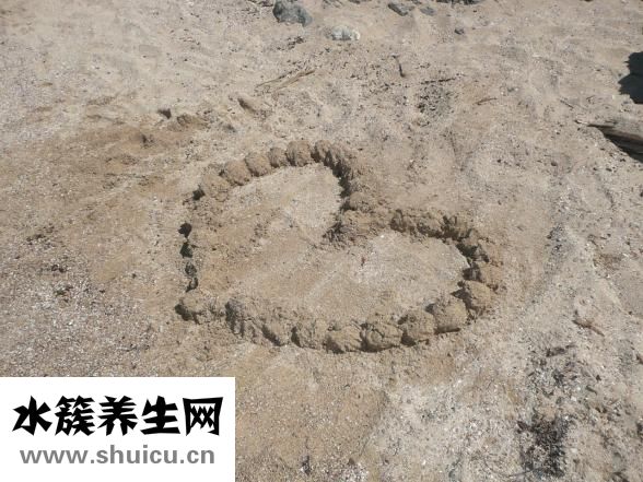 水準(zhǔn)點(diǎn)怎么復(fù)核