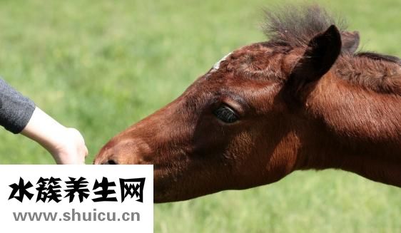 曬魚干下雨了怎么辦