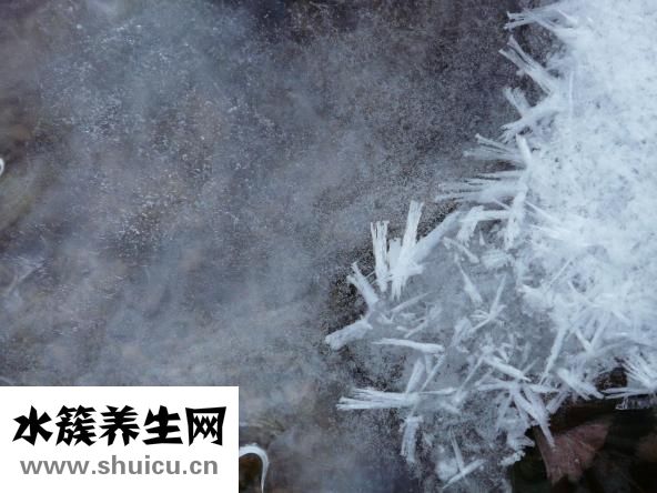 冰鎮(zhèn)水怎么敷臉