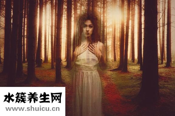 怎么引導(dǎo)寶寶爬行