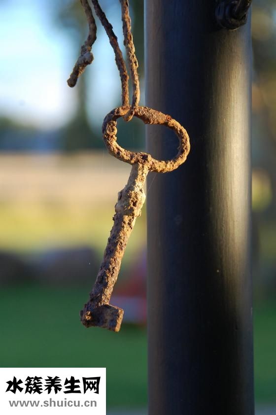 尿不濕怎么再次利用