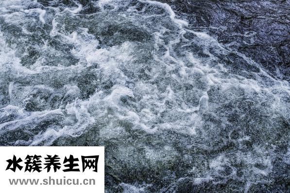 白水煮菜怎么做