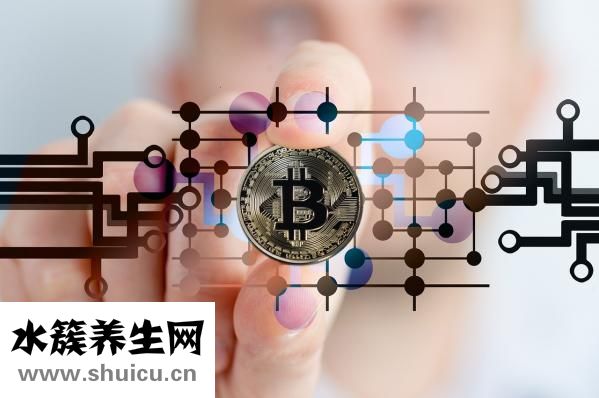 怎么看貓咪是否懷孕