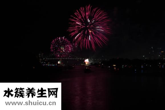 蜀葵花怎么養(yǎng)