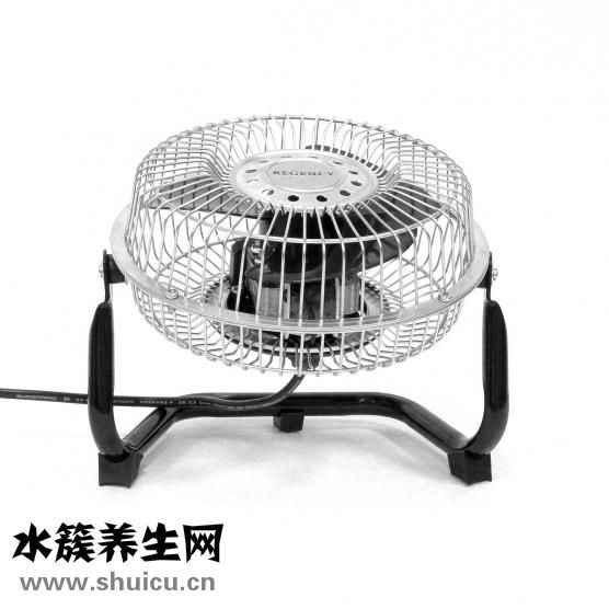 劉巖癱瘓怎么生活